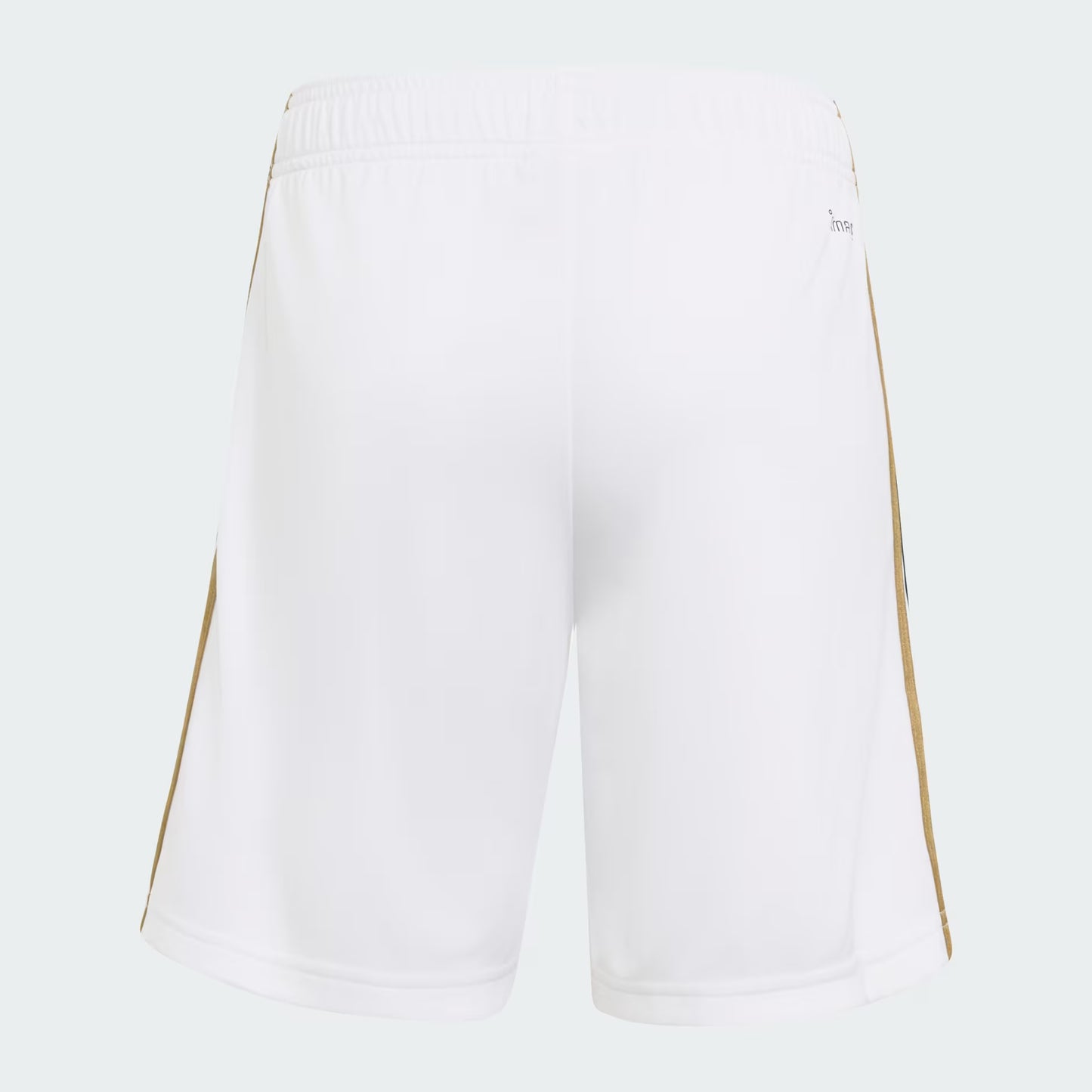 Saudi Team Shorts Set